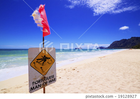 No swimming 19128927