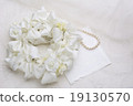 White ribbon lease 19130570