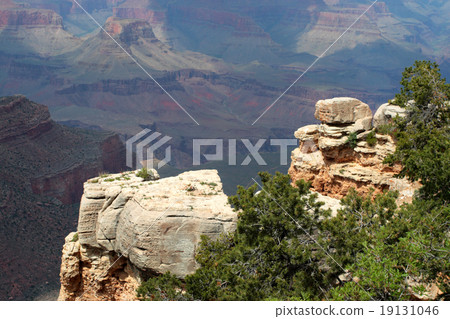 Grand Canyon National Park, USA.. 19131046