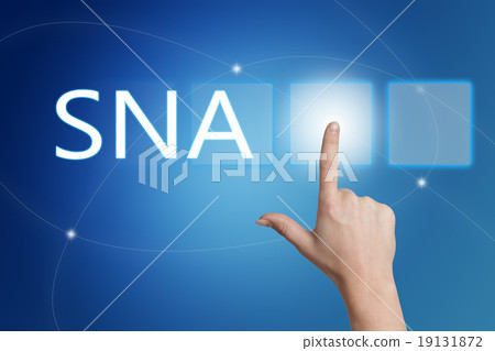 Systems Network Architecture 19131872