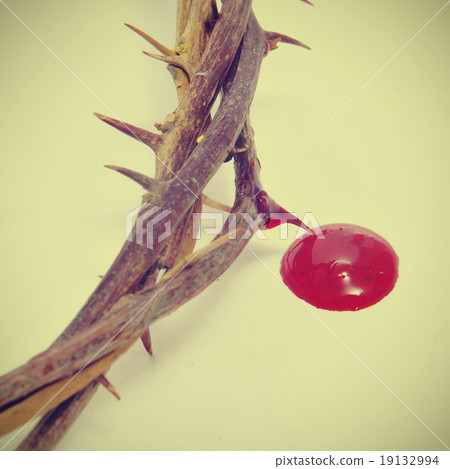 crown of thorns and blood 19132994