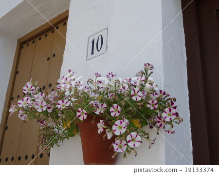 Flower entrance 19133374