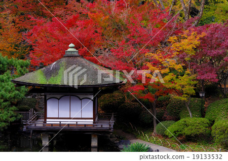 Autumn leaves of the Marunouchi garden in Wakayama castle west 19133532