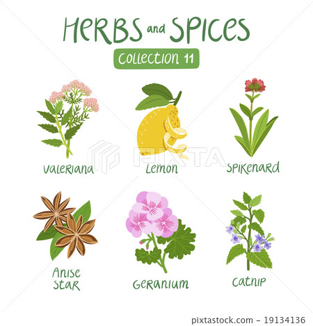 Herbs and spices collection 11 Herbs and spices collection 11 19134136