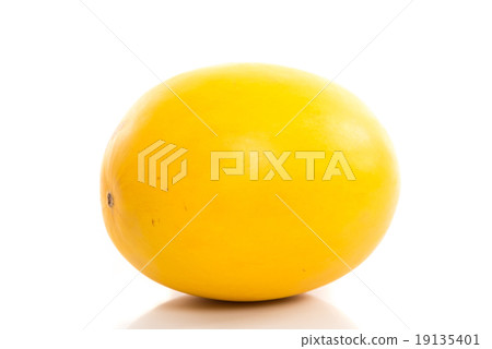 Honeydew melon on a white background 19135401