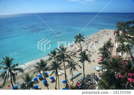 Hawaii Beach 19135500