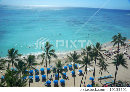 Hawaii Beach 19135501