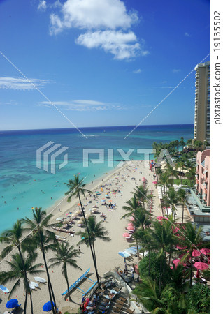 Hawaii Beach 19135502