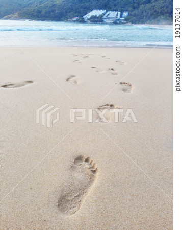 Footprints on the beach Footprints on the beach 19137014