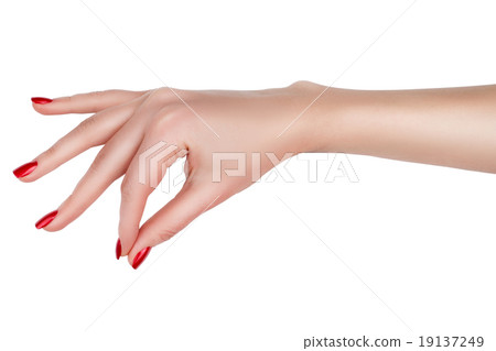 Female hand showing sign. Female hand showing sign. 19137249