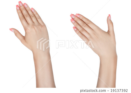Left and right female hand. 19137392