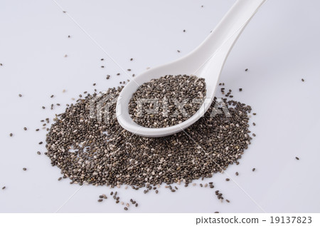 chia seeds chia seeds 19137823