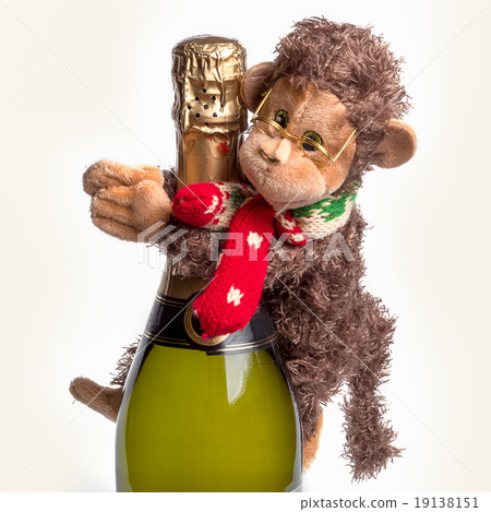 bottle of champagne with monkey toy bottle of champagne with monkey toy 19138151