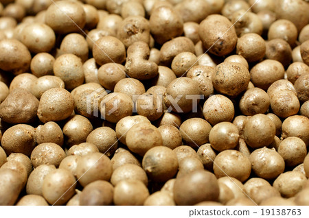 Bamboo grass 19138763