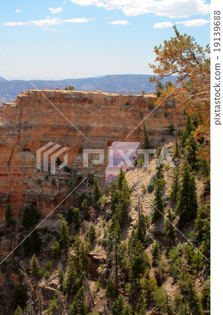 Grand Canyon National Park, USA.. 19139688