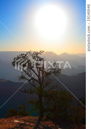 Grand Canyon National Park, USA.. 19140046