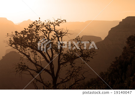 Grand Canyon National Park, USA.. 19140047