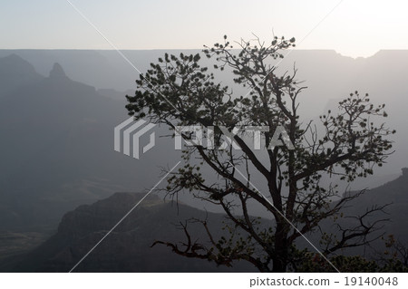 Grand Canyon National Park, USA.. 19140048