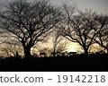 Walk at dusk 19142218