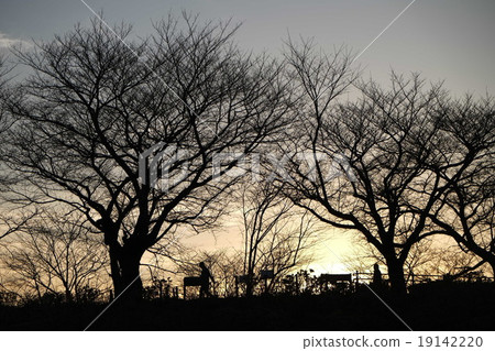 A walk at dusk 19142220