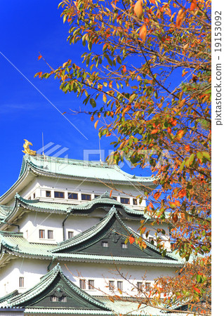November Aichi Nagoya castle · Great castle tower and autumn leaves 19153092