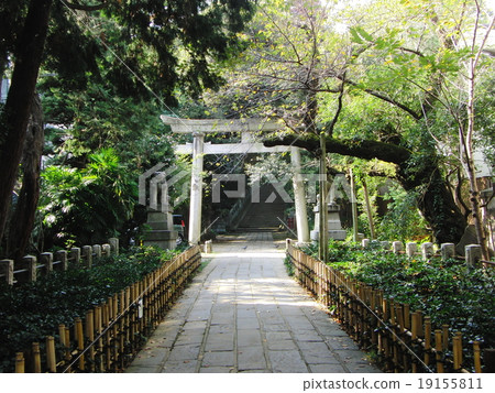 Akasaka Hikawa Shrine entrance Akasaka Hikawa Shrine entrance 19155811