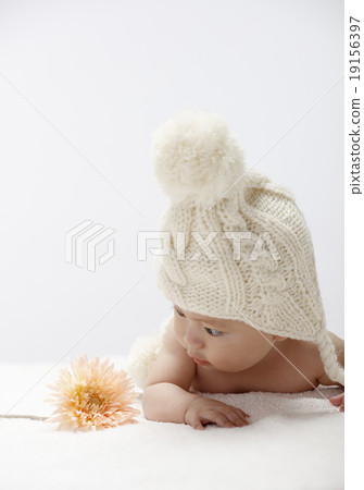 嬰兒 嬰兒 19156397