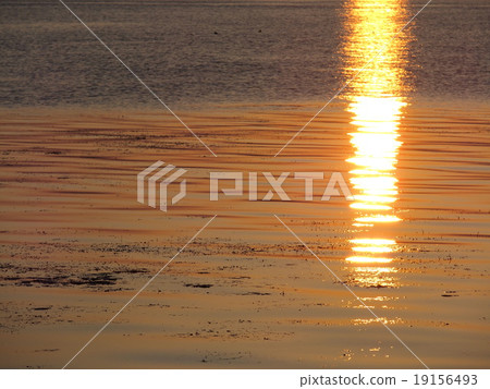 Sunrise of Lake Biwa 19156493