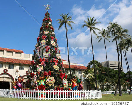 Hawaiian Big Christmas Tree & Palm Trees 19156787