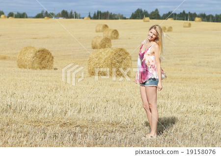 blonde summer golden hair blonde summer golden hair 19158076