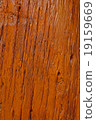 Wooden texture and background 19159669