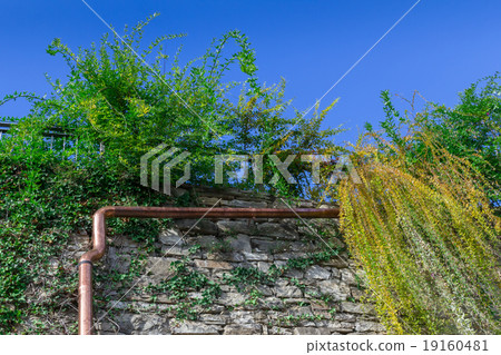 Gutter on wall 19160481