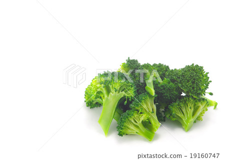 Boiled broccoli white background Boiled broccoli white background 19160747