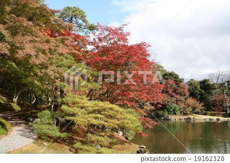 Sen-dong Imperial Palace Autumn leaves 19162328
