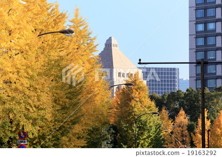 秋葉在永田町 19163292