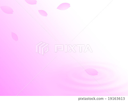 櫻花花瓣和漣漪 19163613