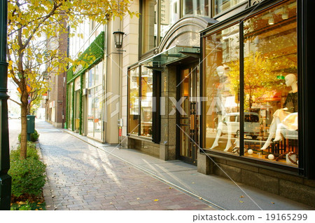 Pavement of Miyuki Street, Ginza 19165299