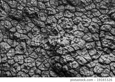 Rock background Rock background 19165326