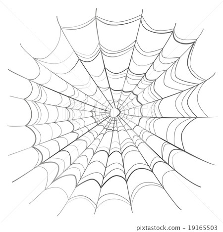 Complicated spider web on white 19165503