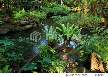 park land park land 19166988
