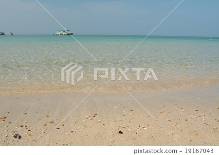 Sea Sea 19167043