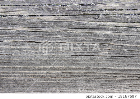 Board Board 19167697