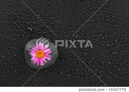 The black stone with a flower 19167779
