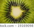 Close up of a kiwi fruit 19169098