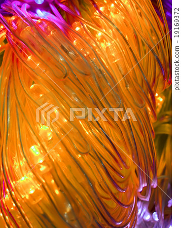 yellow powerful illuminated tubes. 19169372