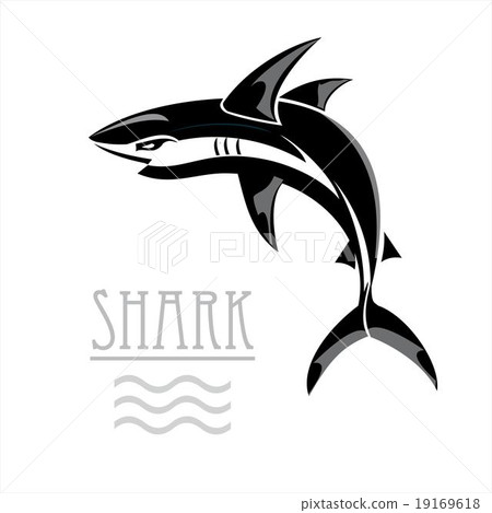 wild shark. wild shark. 19169618