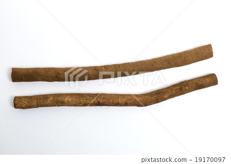 Burdock buried 19170097