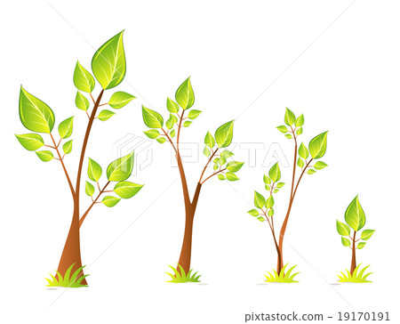 Trees vector design set Trees vector design set 19170191