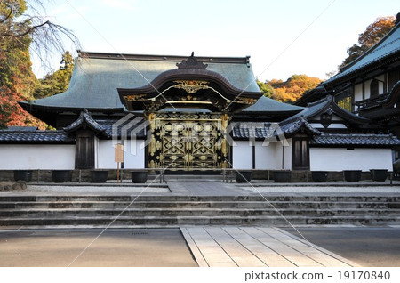 鎌倉Kenchoji寺 19170840