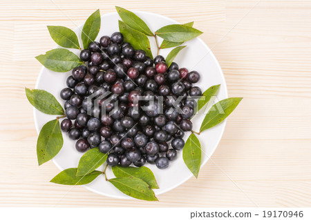 Blueberry fruit with white background 19170946